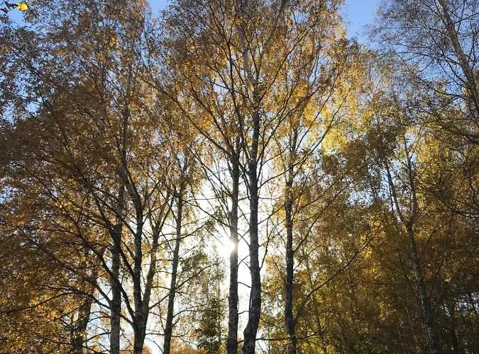 Σαλέ Sanmari_forest Ledenice